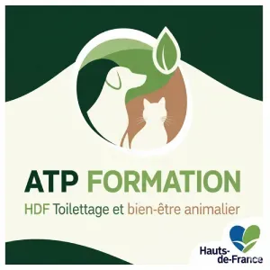 atp-logo